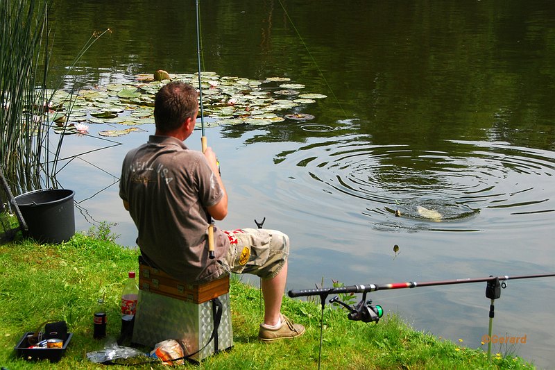 Beet aan de visvijver.JPG - Beet aan de visvijver